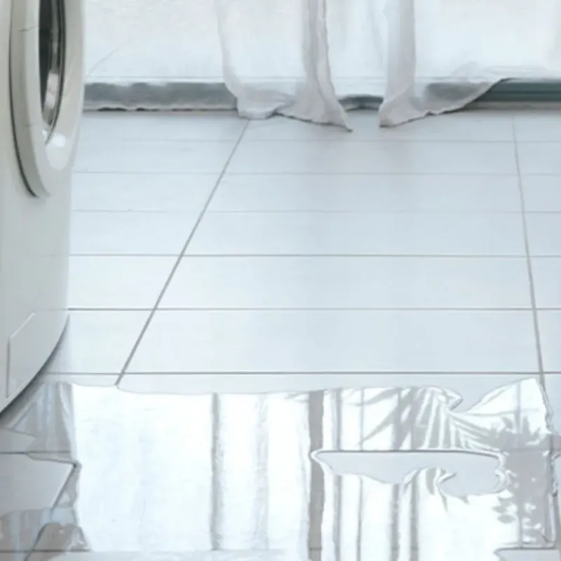 Appliance Leak Cleanup in Pender County, NC