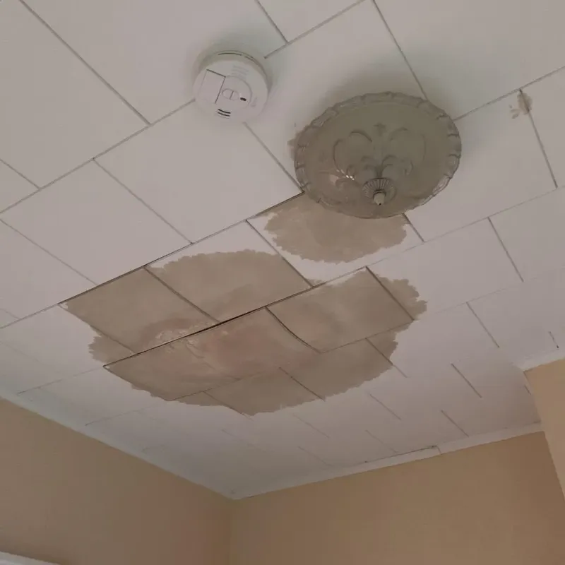 Ceiling Water Damage Repair in Pender County, NC