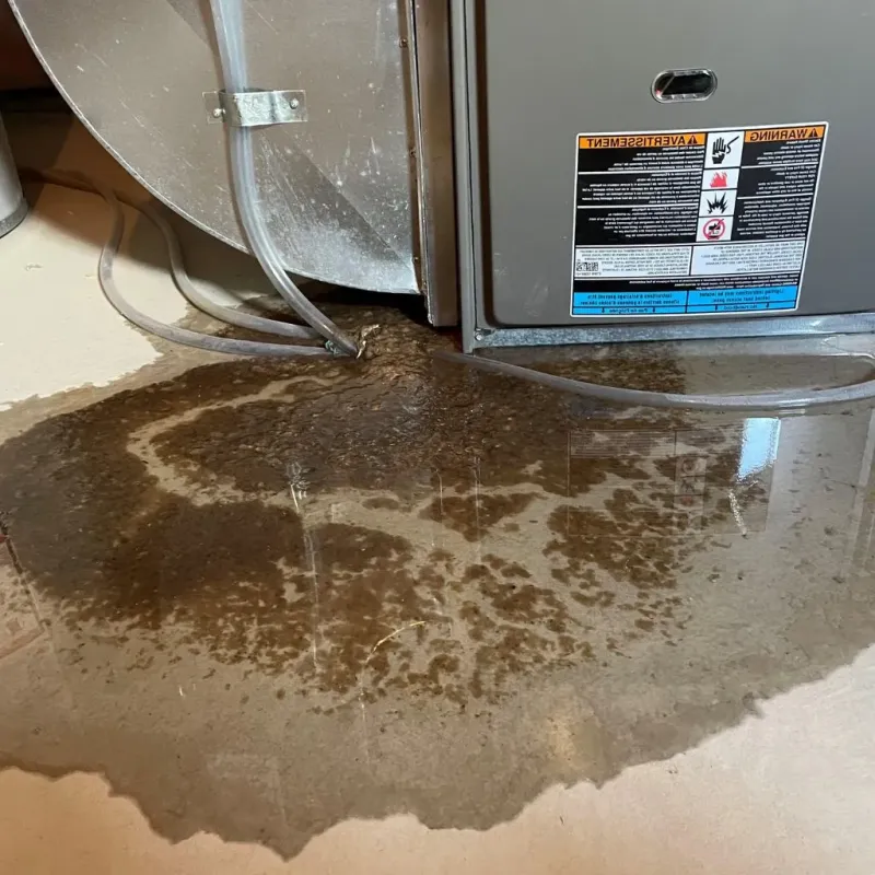 Pipe Burst and Leak Restoration in Pender County, NC