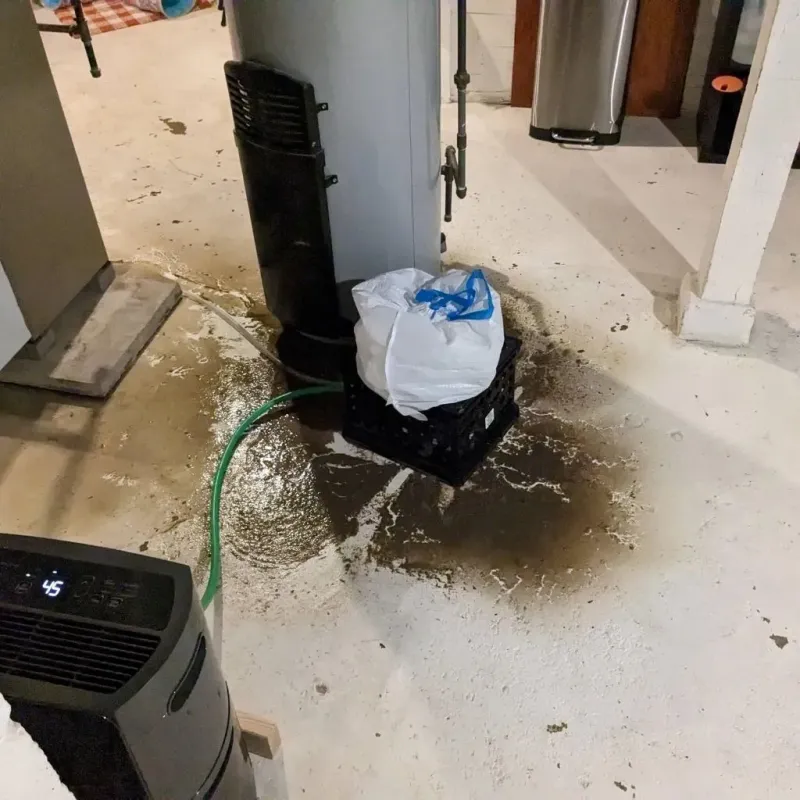 Sewage Backup Cleanup Service in Pender County, NC